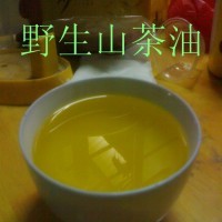 供应山茶油